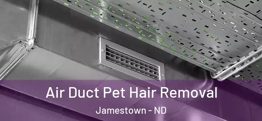  Air Duct Pet Hair Removal Jamestown - ND
