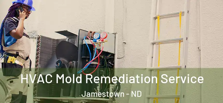  HVAC Mold Remediation Service Jamestown - ND