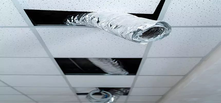 Affordable HVAC Sanitizing After Pest Removal in Jamestown