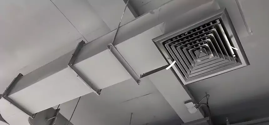 Restorative Allergy Relief Vent Cleaning – Coil, Blower & Housing Detail in Jamestown