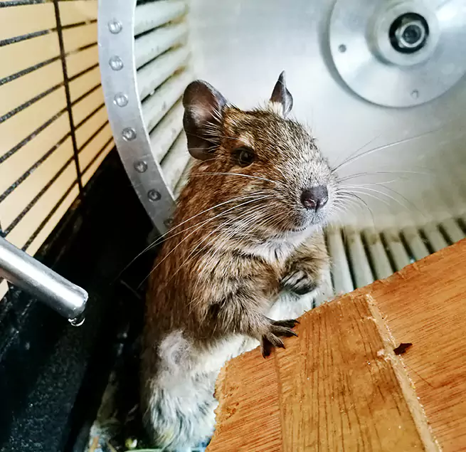 Why Homeowners & Businesses Trust Us Jamestown, ND